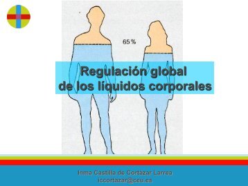 Regulacion global de los liquidos corporales ... - VeoApuntes.com