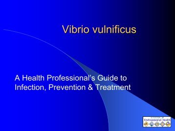 Vibrio vulnificus: A Health Professional's Guide to Infection ...