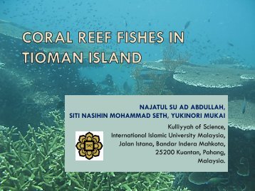 coral reef fishes in tioman island - Jabatan Taman Laut Malaysia