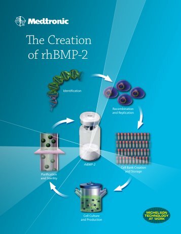 The Creation of rhBMP-2 - BioHorizons