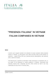 2013 Presenza Italiana in Vietnam - Ice