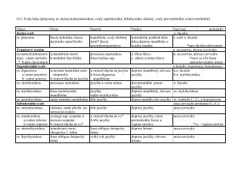 G/1. Svaly krku (platysma, m. sternocleidomastoideus, svaly ...