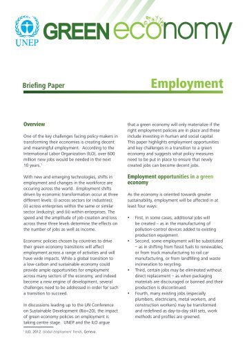 Employment Briefing Paper - UNEP