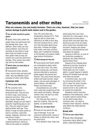 Tarsonemids and other mites - Which.co.uk