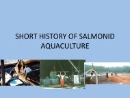 The History of Salmon Aquaculture - Tides Canada