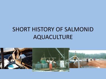 The History of Salmon Aquaculture - Tides Canada