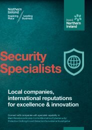 Security Specialists Brochure (PDF) - Invest Northern Ireland