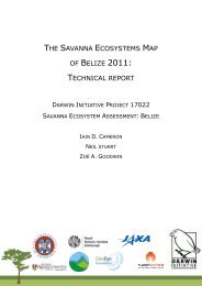 the savanna ecosystems map of belize 2011: technical ... - Research