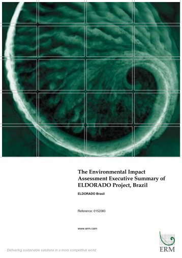 The Environmental Impact Assessment Executive Summary of ... - EKN