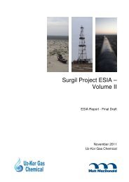 Surgil Project ESIA â Volume II - EKN