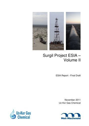 Surgil Project ESIA â Volume II - EKN
