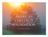 2012 Annual Report - The American Chestnut Foundation