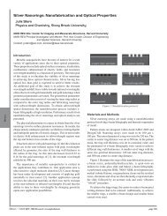 Nanofabrication and Optical Properties - Center for Nanoscale ...