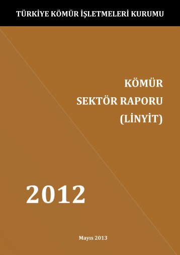 kÃ¶mÃ¼r sektÃ¶r raporu - Enerji ve Tabii Kaynaklar BakanlÄ±ÄÄ±