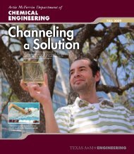 Channeling a Solution - Department of Chemical Engineering ...