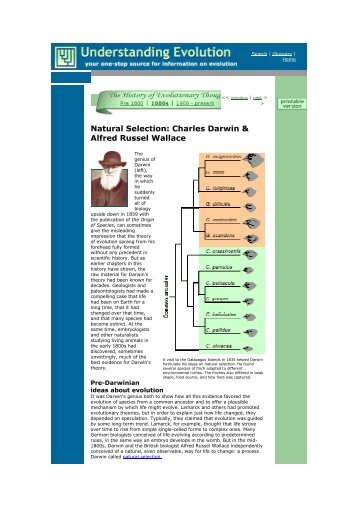 Natural Selection: Charles Darwin & Alfred Russel Wallace - Somos ...