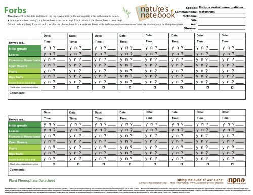 Plant Phenophase Datasheet