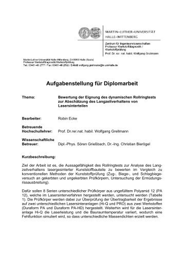 Aufgabenstellung für Diplomarbeit - Polymer Service GmbH ...