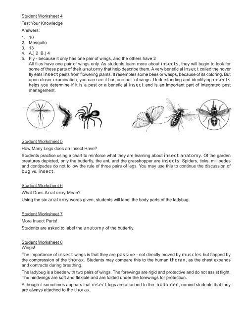 Insect Anatomy - Agriculture in the Classroom