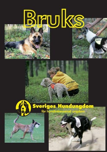 Bruks - Sveriges Hundungdom