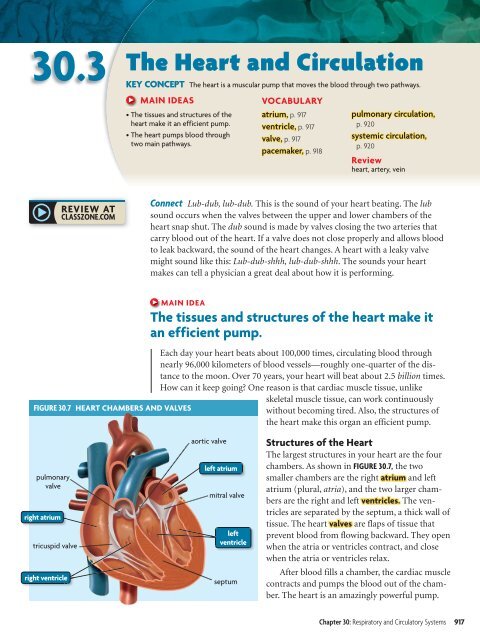 30 Respiratory and Circulatory Systems
