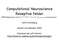 Computational Neuroscience Rezeptive Felder