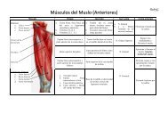 MÃºsculos del Muslo (Anteriores) - Telmeds.org