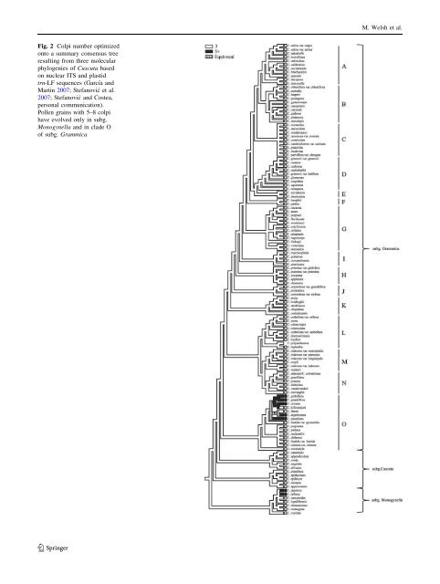 Pollen evolution and its taxonomic significance in Cuscuta (dodders ...