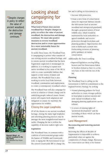 Ancient Woodland Threats - Woodland Trust