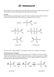Aminoacidi e legame peptidico - ZyXEL NSA210