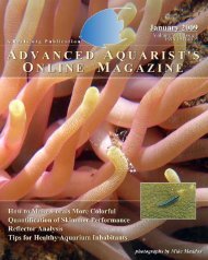 Advanced Aquarist's Online Magazine - Prince XML