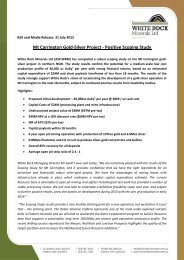 Mt Carrington Gold-Silver Project - Positive Scoping Study