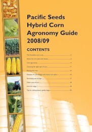 Pacific Seeds Hybrid Corn Agronomy guide 2008 ... - Directrouter.com