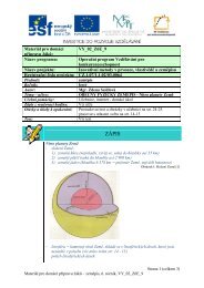 VY_03_Z6E_09, Nitro planety ZemÄ.pdf