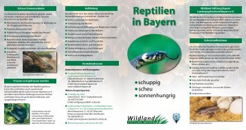 Reptilien in Bayern - wildland-bayern.de