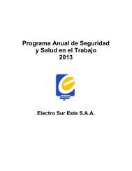 Programa Anual de Seguridad y Salud en el ... - Electro Sur Este