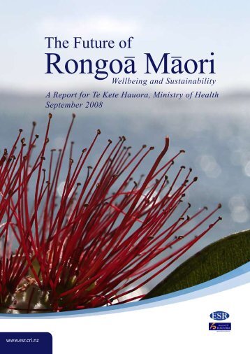 The future of rongoÄ MÄori: wellbeing and ... - LIME Network