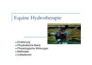 Equine Hydrotherapie - VeterinÃ¤rmedizinische UniversitÃ¤t Wien