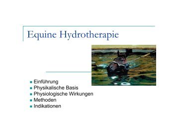 Equine Hydrotherapie - VeterinÃ¤rmedizinische UniversitÃ¤t Wien