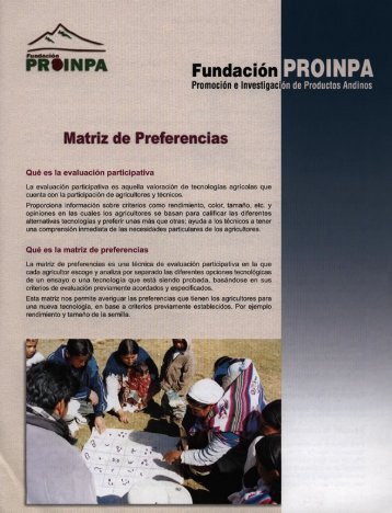Matriz de preferencias.pdf - FundaciÃ³n PROINPA