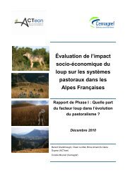 Rapport de Phase I - Le monde des PyrÃ©nÃ©es