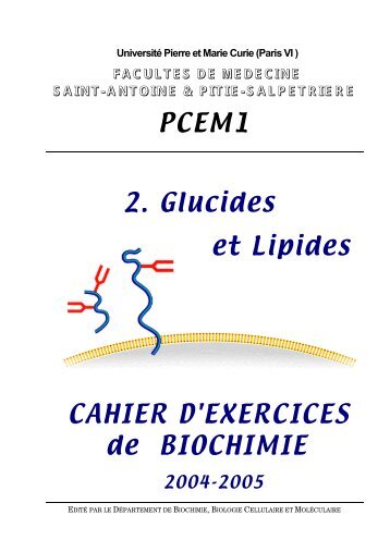 III-IV_Glucide-Lipid.. - FacultÃ© de mÃ©decine Saint-Antoine ...