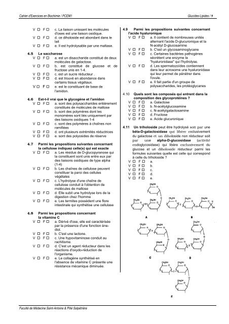 III-IV_Glucide-Lipid.. - FacultÃ© de mÃ©decine Saint-Antoine ...