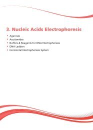 3. Nucleic Acids Electrophoresis - Euroclone