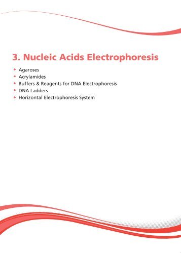 3. Nucleic Acids Electrophoresis - Euroclone