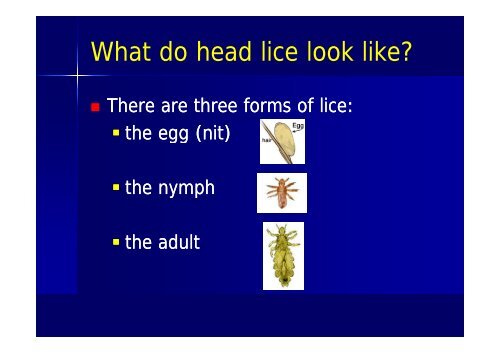 Common Skin Lesions in Infants