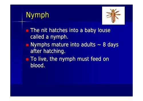 Common Skin Lesions in Infants