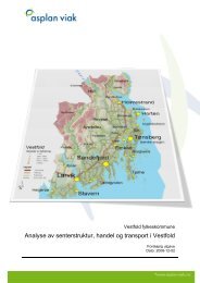 Analyse av senterstruktur, handel og transport i Vestfold