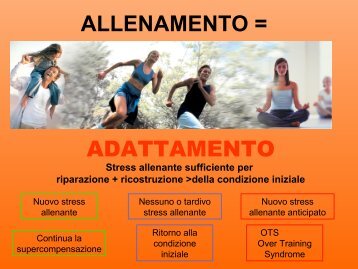 Media:3Ã‚Â° strutturazione all. palestra-pv.pdf