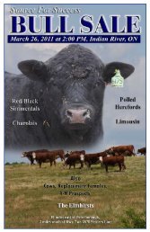 Source For Success - Indian River Cattle Company